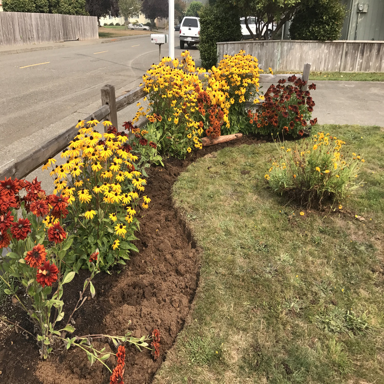 Carpentry and Remodeling in Durham, CA